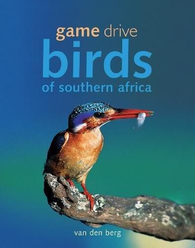 Cover image for Game Drive Birds Of Southern Africa