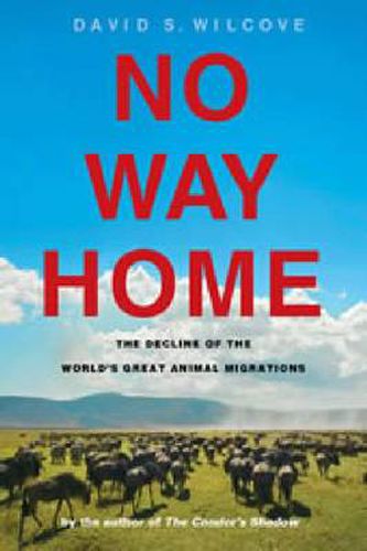 Cover image for No Way Home: The Decline of the World's Great Animal Migrations