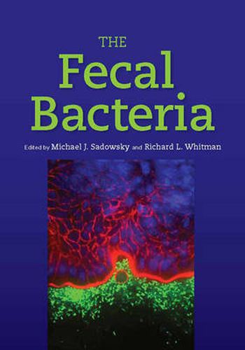 Cover image for The Fecal Bacteria