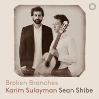 Cover image for Broken Branches: Songs for voice and guitar 