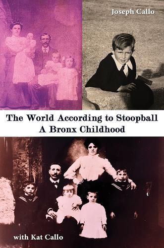 Cover image for The World According to Stoopball