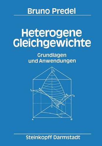 Cover image for Heterogene Gleichgewichte