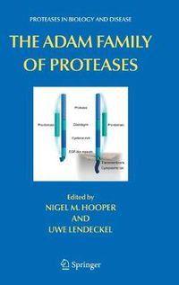 Cover image for The ADAM Family of Proteases