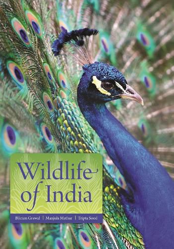 Cover image for Wildlife of India