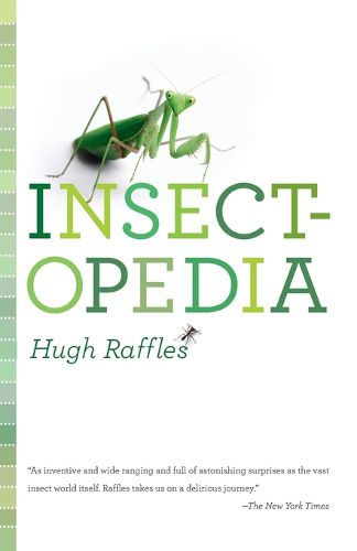 Cover image for Insectopedia