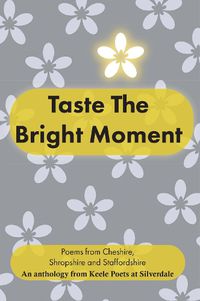 Cover image for Taste Taste The Bright Moment