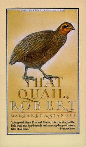 Cover image for That Quail, Robert