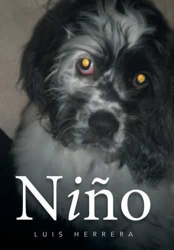 Cover image for Nino