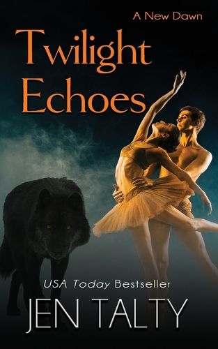 Cover image for Twilight Echoes