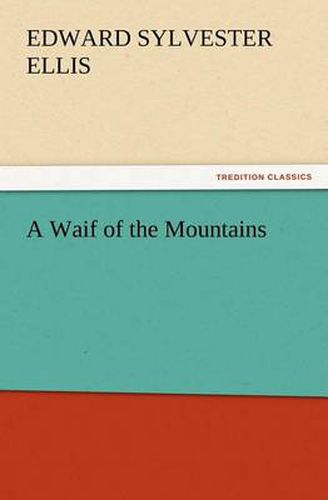 Cover image for A Waif of the Mountains