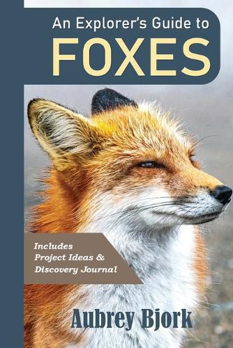 Cover image for An Explorer's Guide to Foxes