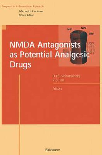 Cover image for NMDA Antagonists as Potential Analgesic Drugs