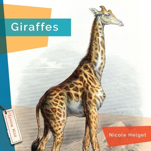 Cover image for Giraffes