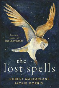 Cover image for The Lost Spells