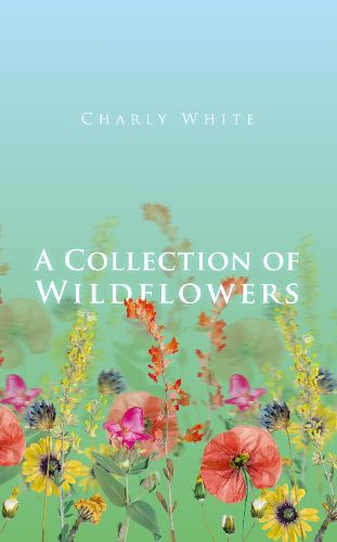 A Collection of Wildflowers