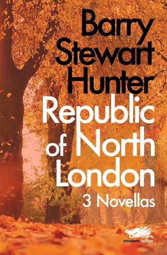 Cover image for Republic of North London