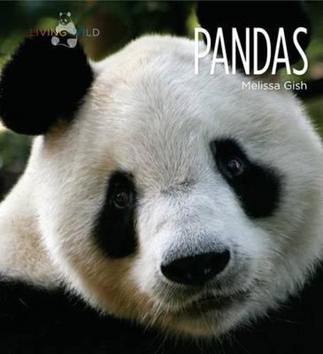 Cover image for Living Wild: Pandas