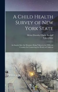 Cover image for A Child Health Survey of New York State; an Inquiry Into the Measures Being Taken in the Different Counties for Conserving the Health of Children