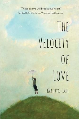 Cover image for The Velocity of Love