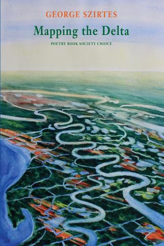 Cover image for Mapping the Delta