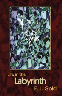 Cover image for Life in the Labyrinth