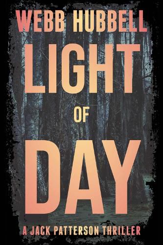 Cover image for Light of Day