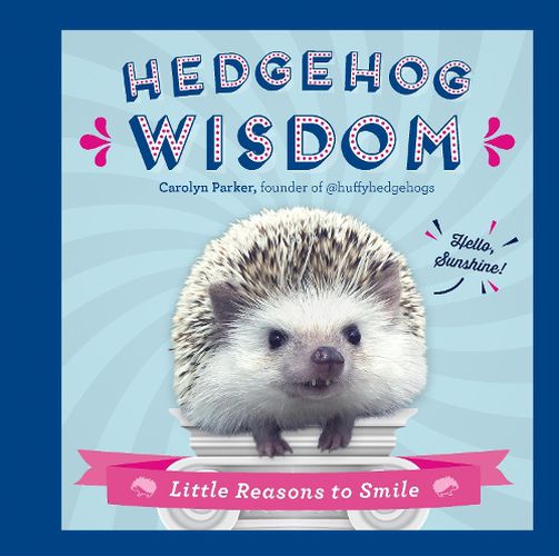 Cover image for Hedgehog Wisdom: Little Reasons to Smile