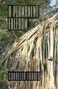 Cover image for A Permanent Freedom