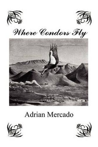 Cover image for Where Condors Fly