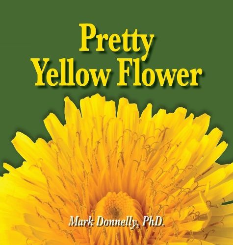 Cover image for Pretty Yellow Flower