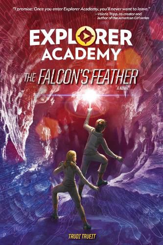 Cover image for The Falcon's Feather