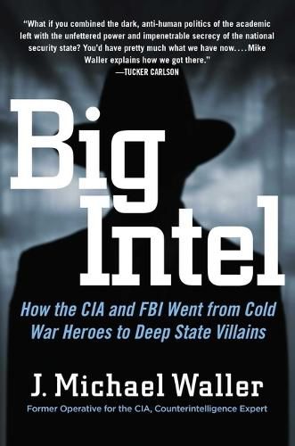 Cover image for Big Intel