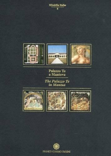 Cover image for Palazzo Te in Mantua