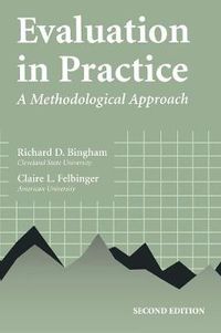 Cover image for Evaluation in Practice: A Methodological Approach
