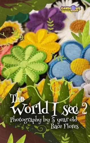 Cover image for The World I See 2