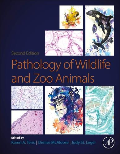 Cover image for Pathology of Wildlife and Zoo Animals