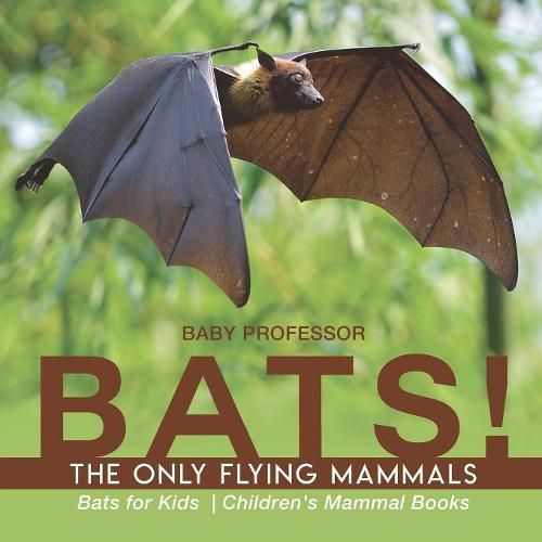 Cover image for BATS! The Only Flying Mammals Bats for Kids Children's Mammal Books