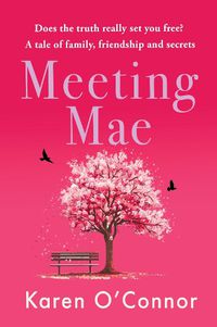 Cover image for Meeting Mae 2024