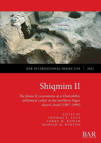 Cover image for Shiqmim II