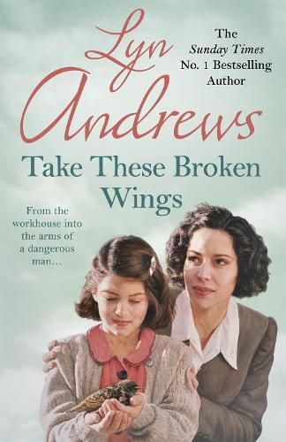 Cover image for Take these Broken Wings: Can she escape her tragic past?