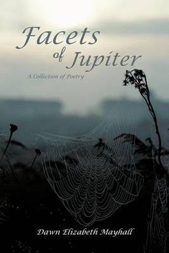 Cover image for Facets of Jupiter