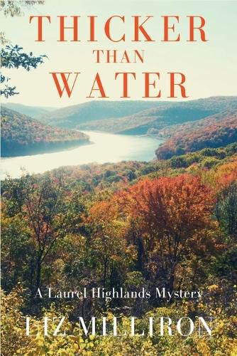 Cover image for Thicker Than Water