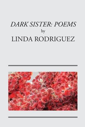 Cover image for Dark Sister: Poems