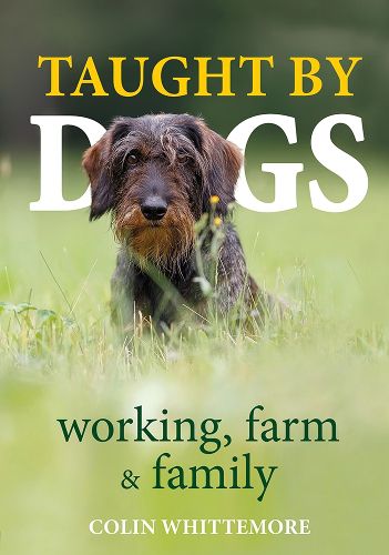 Cover image for Taught by Dogs