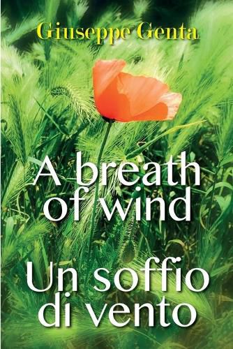 Cover image for Un soffio di vento - A breath of wind