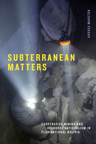 Cover image for Subterranean Matters