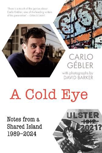 Cover image for A Cold Eye