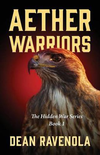 Cover image for Aether Warriors: The Hidden War Series Book 1