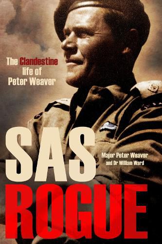 Cover image for SAS Rogue