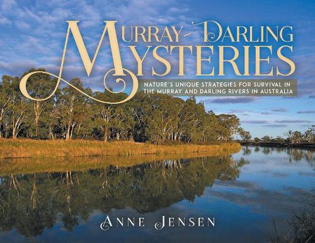 Cover image for Murray-Darling Mysteries